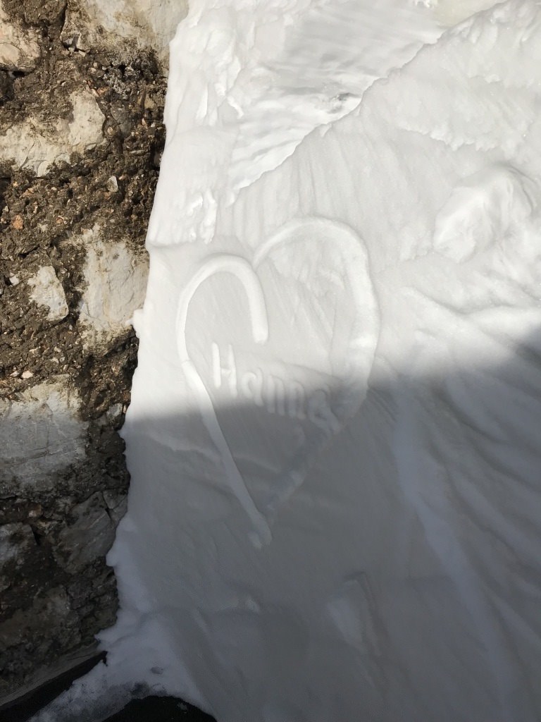 德國最高峰｜楚格峰Zugspitze｜賞雪.jpg