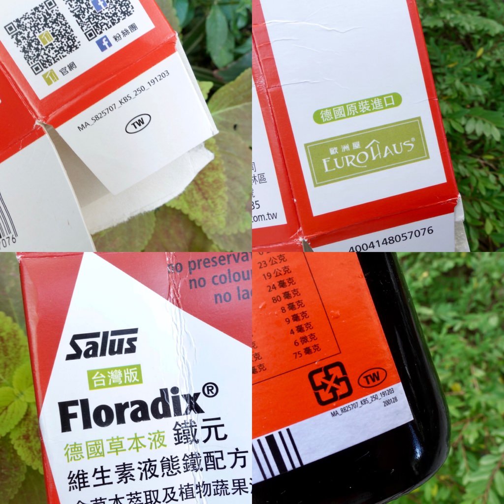 德國鐵元Floradix iron.JPG