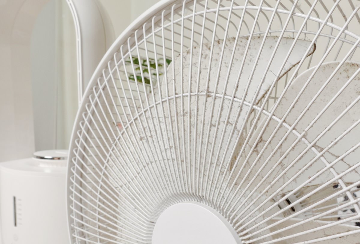 日系小家電開箱！Bmxmao MAO air cool-Mist 3in1空間除菌大師，霧化水氧機X無葉循環扇X空氣清淨三機合一，終於不用再洗電風扇了！