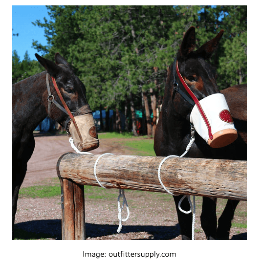 Hermès Picotin Lock 22 大象灰 x 銀扣開箱！愛馬仕菜籃子其實有5個尺寸？Picotin 18 & 22 最新價格？哪裏買最划算？