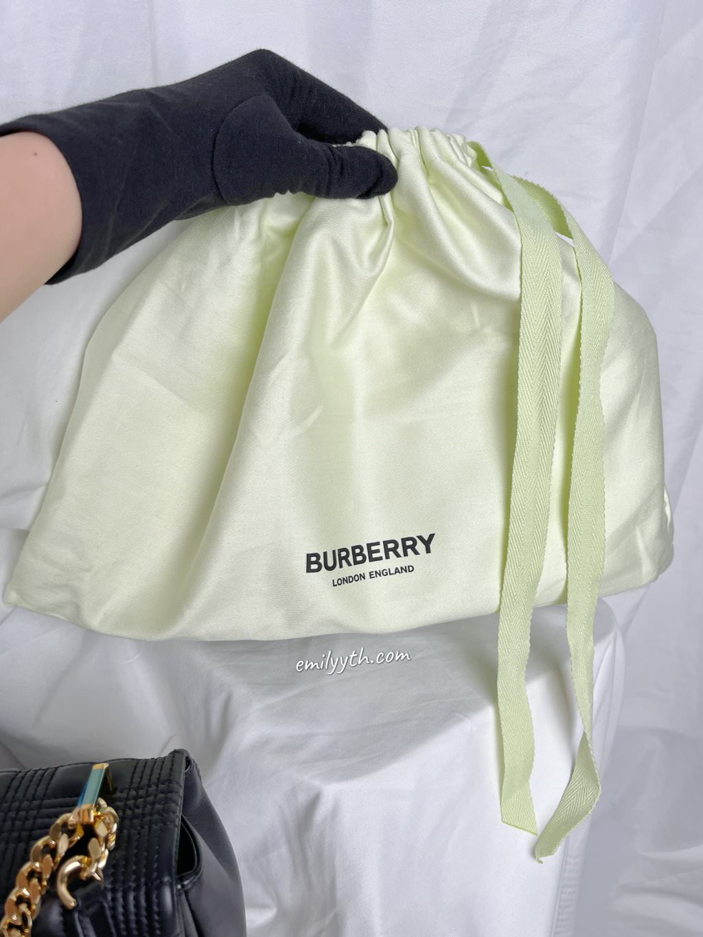 Burberry lola bag 11