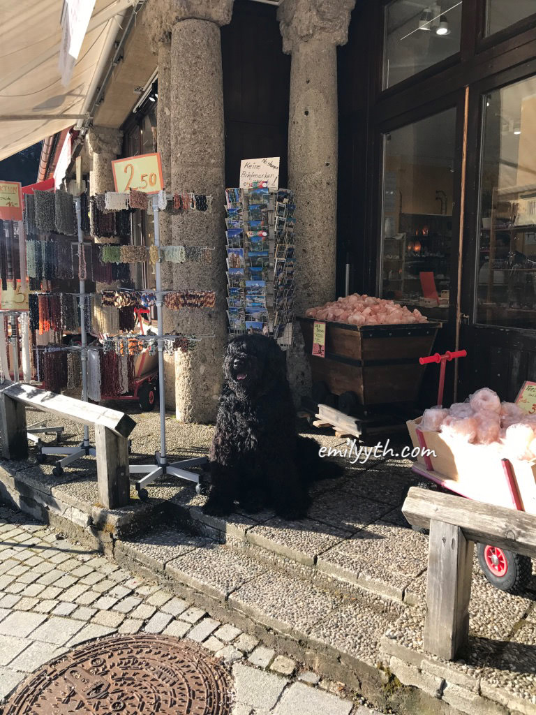 2023 來去國王湖住一晚!德國國王湖(Königssee)自由行攻略!交通、住宿、船票、餐廳詳細介紹。 - 第100張圖 2023 來去國王湖住一晚!德國國王湖(Königssee)自由行攻略!交通、住宿、船票、餐廳詳細介紹。