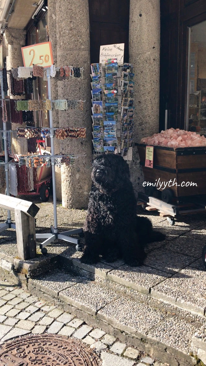 2023 來去國王湖住一晚!德國國王湖(Königssee)自由行攻略!交通、住宿、船票、餐廳詳細介紹。 - 第101張圖 2023 來去國王湖住一晚!德國國王湖(Königssee)自由行攻略!交通、住宿、船票、餐廳詳細介紹。
