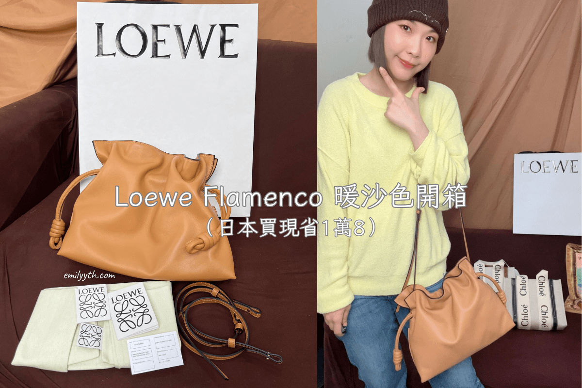 Loewe Flamenco 雲朵手拿包開箱