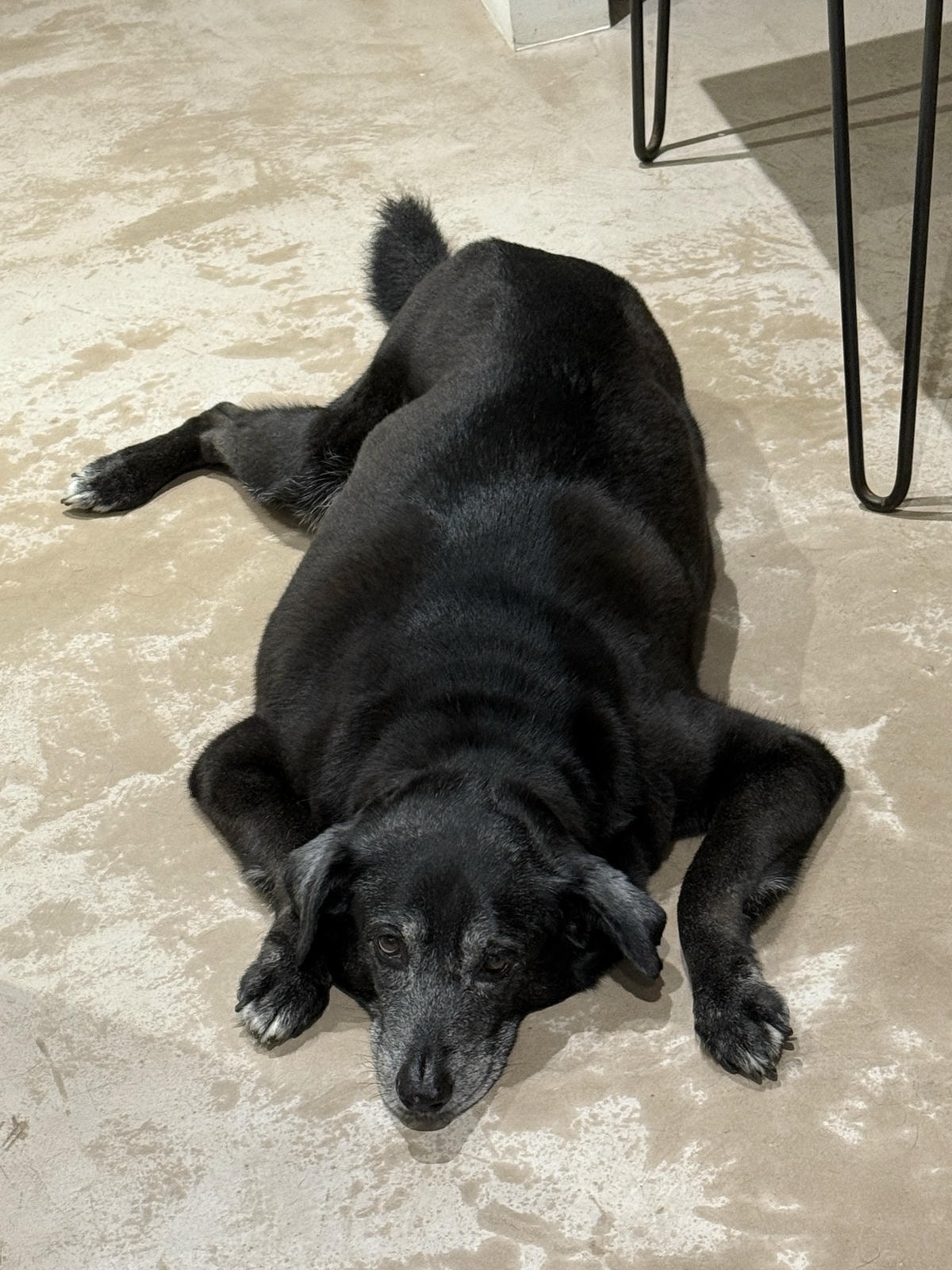 Cettire 閃促額外9折！8/22 下午5點結束！